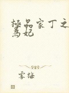 极品家丁之册母为妃