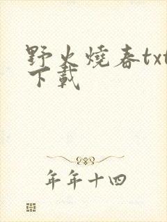 野火烧春txt下载封面