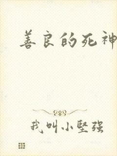 善良的死神小说封面