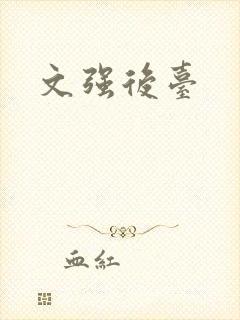 文强后台封面