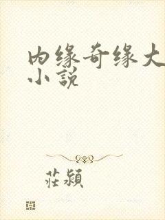 内缘奇缘大团圆小说