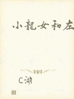 小龙女和左剑清封面