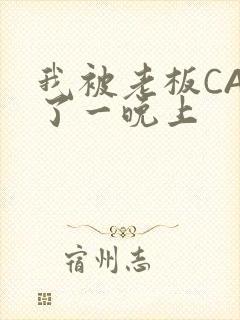 我被老板CAO了一晚上封面