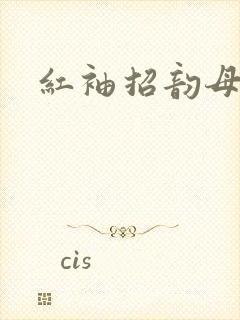 红袖招韵母攻略封面