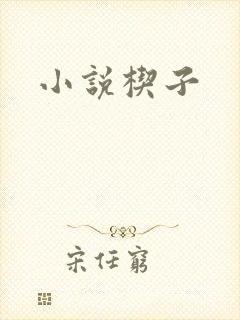 小说楔子