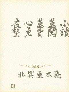 夜心万万小说完整免费阅读全文