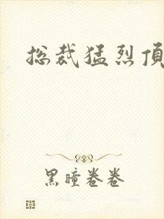 总裁猛烈顶弄h封面