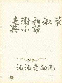 老卫和淑荣的经典小说