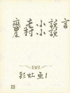 恋老小说言情网农村小说