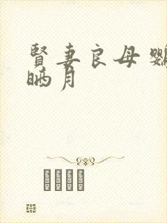 贤妻良母 鹦鹉晒月