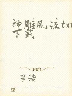 神雕风流txt下载