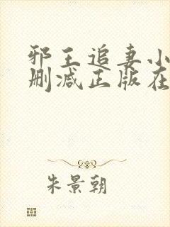 邪王追妻小说无删减正版在线阅读