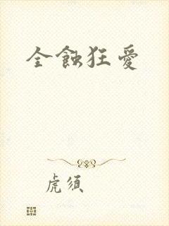 全蚀狂爱封面