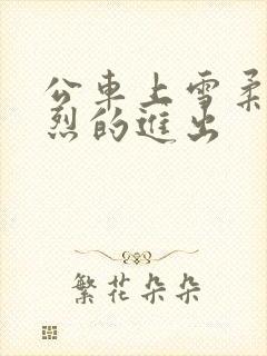 公车上雪柔被猛烈的进出