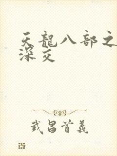 天龙八部之极乐深交