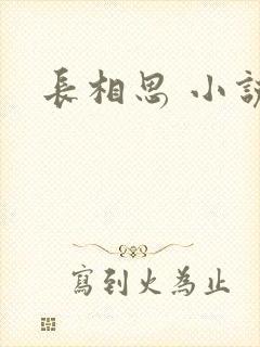 长相思 小说