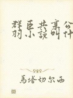 群臣共享公主银羽小说叫什么