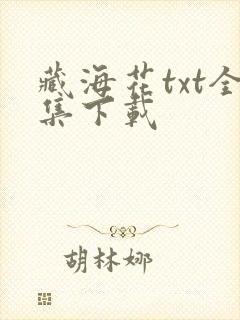 藏海花txt全集下载