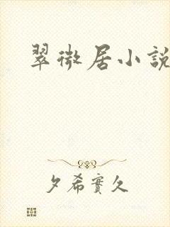 翠微居小说