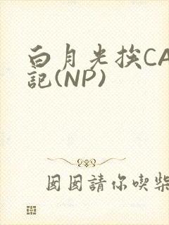 白月光挨CAO记(NP)
