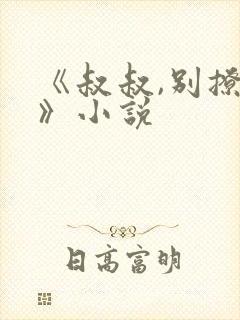 《叔叔,别撩我》小说