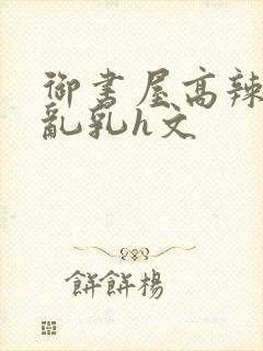 御书屋高辣h文乱乳h文