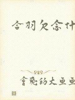 合羽欠念什么封面