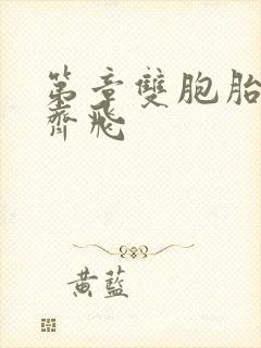 第章双胞胎姐妹齐飞