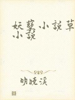 妖孽小说草莓酱小说封面