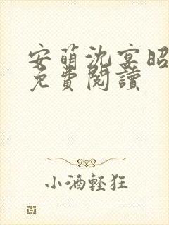 安萌沈宴昭小说免费阅读