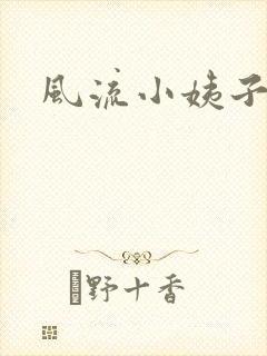 风流小姨子封面