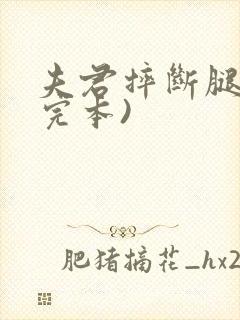 夫君摔断腿后(完本)