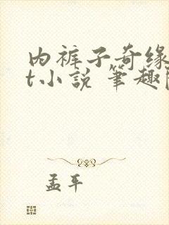 内裤子奇缘txt小说 笔趣阁