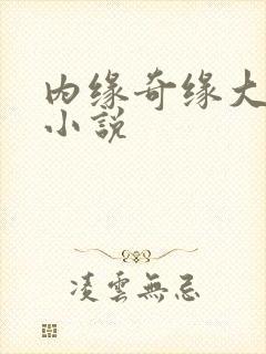 内缘奇缘大团圆小说封面