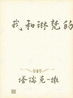 我和琳梵的故事