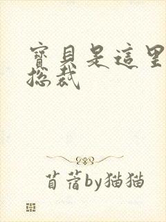 宝贝是这里对吗总裁