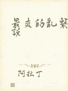 最爽的乱系列小说