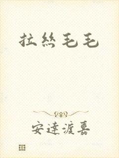 拉丝毛毛