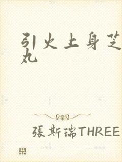 引火上身芝麻糖丸