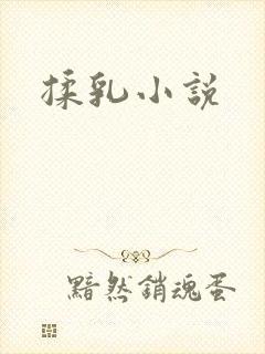 揉乳小说