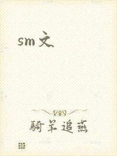 sm文