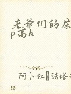 老爷们的床奴np高h