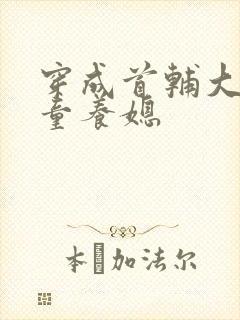 穿成首辅大人的童养媳