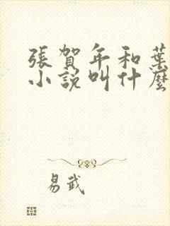 张贺年和叶繁姿小说叫什么名字