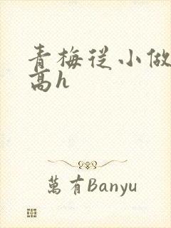 青梅从小做到大高h