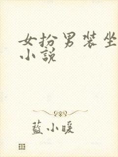 女扮男装坐江山小说封面