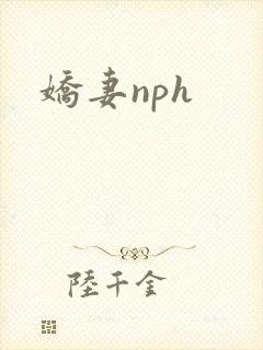 娇妻nph