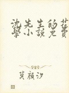 沈先生的花式教学小说免费