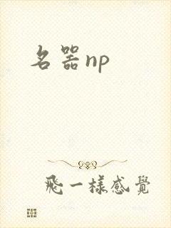 名器np