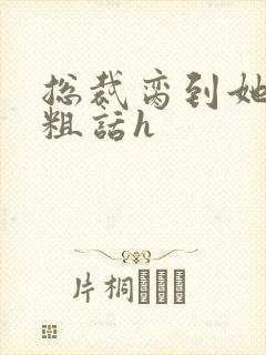 总裁脔到她哭h粗话h封面